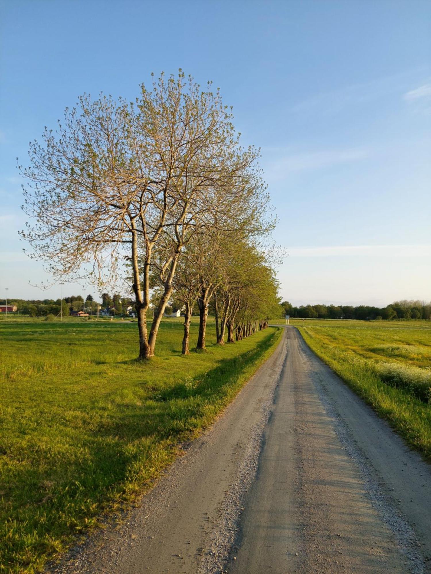 Tjotta Gjestegaard Alstahaug Bagian luar foto